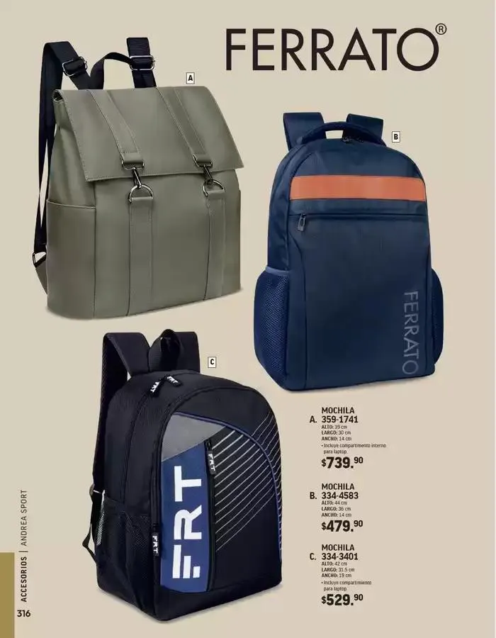 Catálogo de ANDREA - ACCESORIOS CABALLERO 26 de agosto al 25 de enero 2025 - Pagina 7