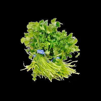 Cilantro Alsuper Por Manojo