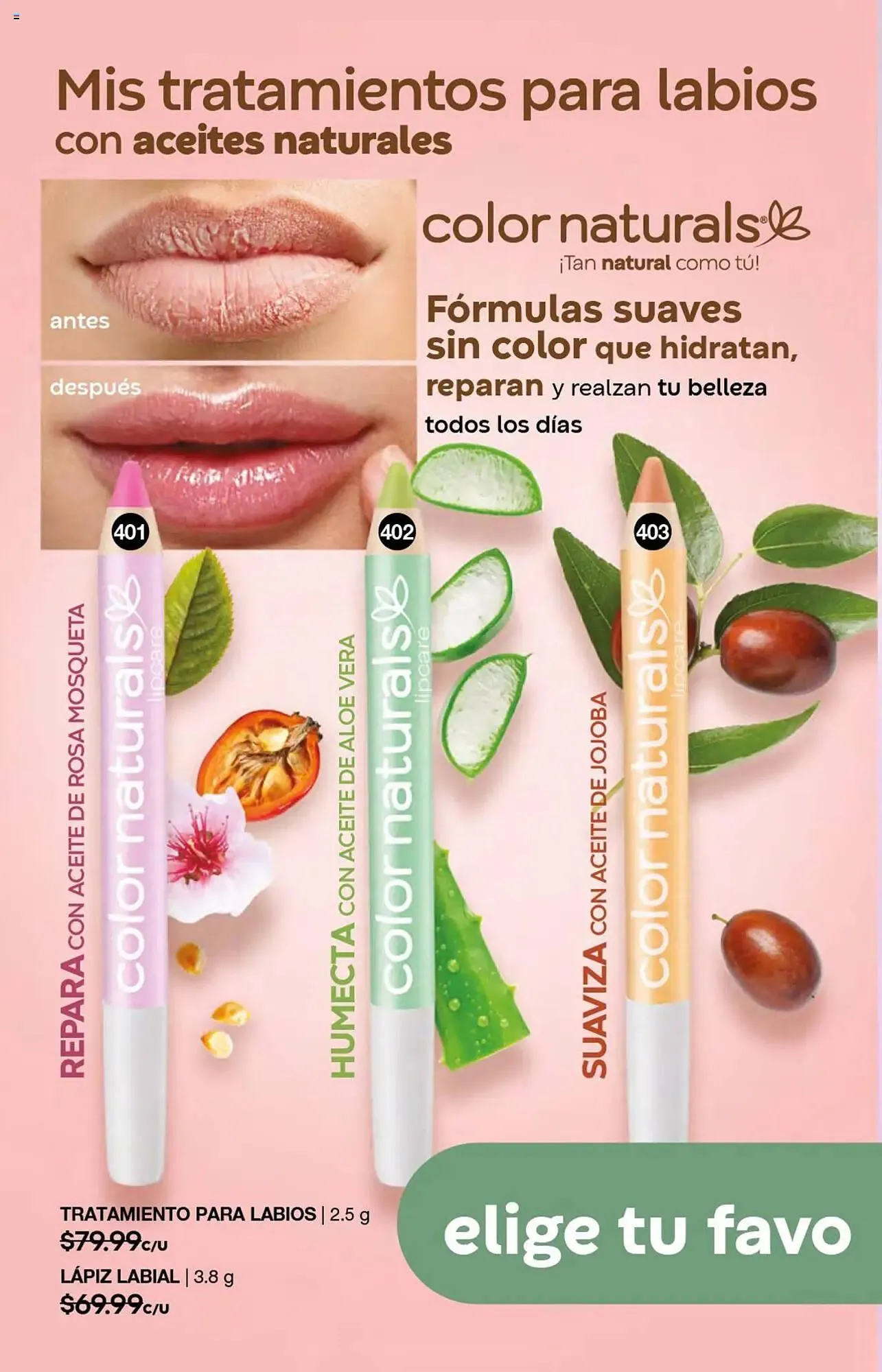 Catálogo de Catálogo Fuller 23 de julio al 13 de agosto 2025 - Pagina 92