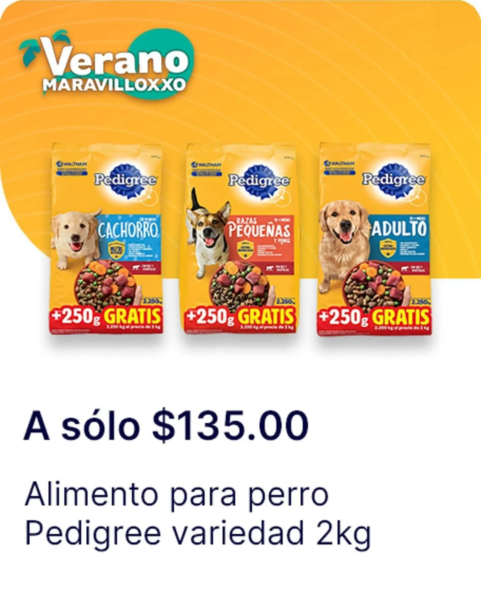 Catálogo de Catálogo OXXO 13 de agosto al 20 de agosto 2025 - Pagina 87