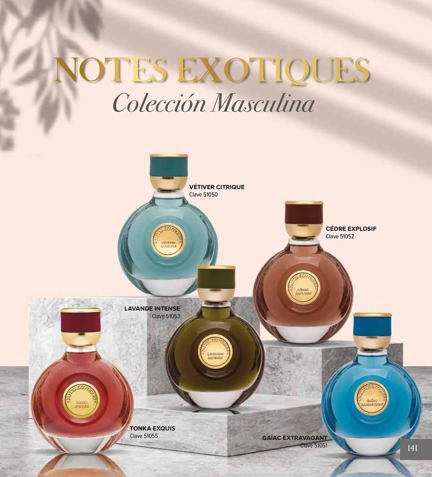 Catálogo de Catálogo Terramar Brands 5 de agosto al 31 de diciembre 2025 - Pagina 141