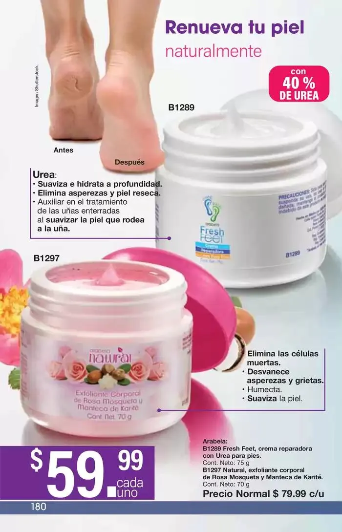 Catálogo de Arabela Campaña 24 24 de octubre al 14 de noviembre 2024 - Pagina 150