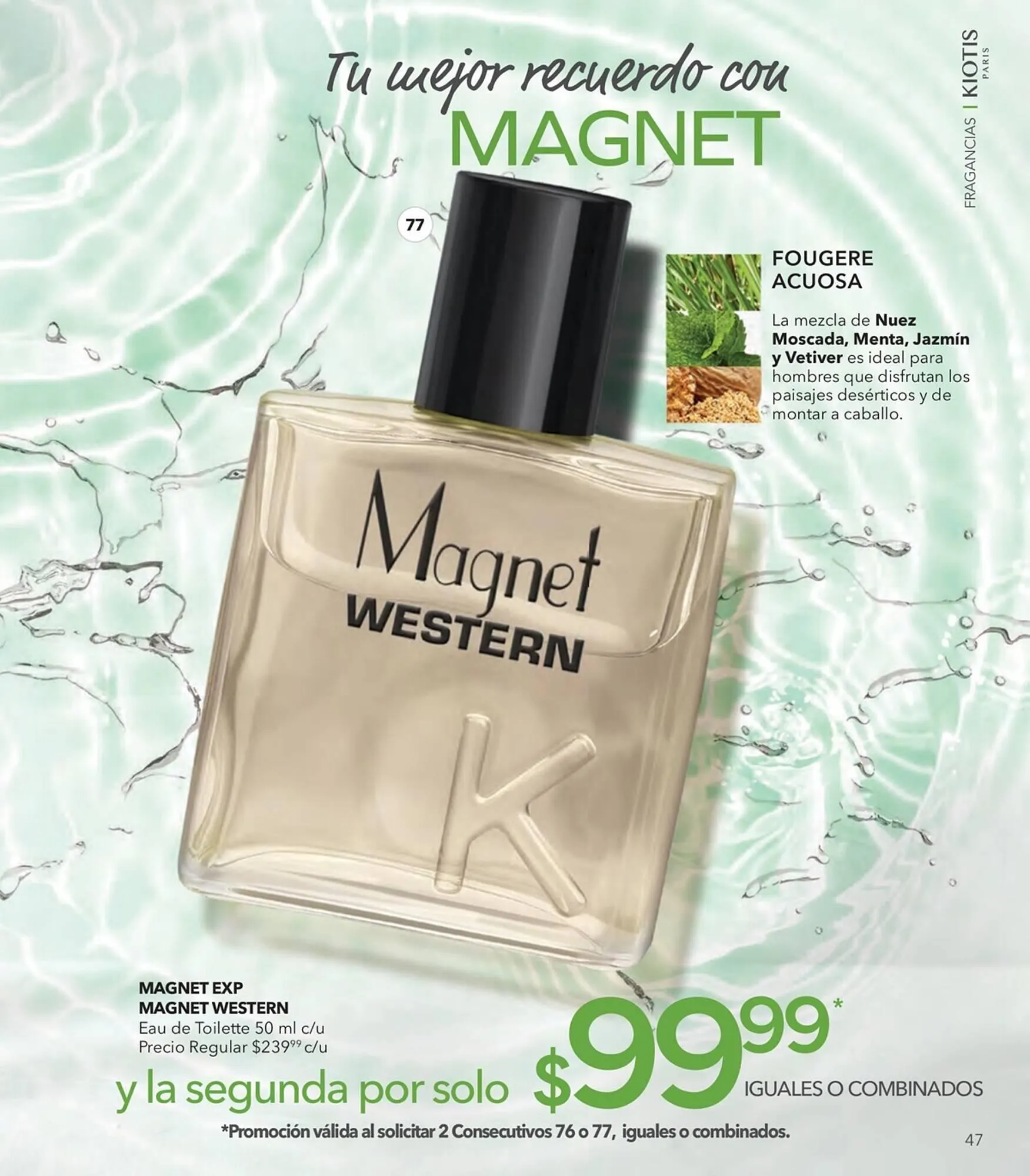 Catálogo de Catálogo Stanhome 27 de julio al 12 de agosto 2023 - Pagina 51