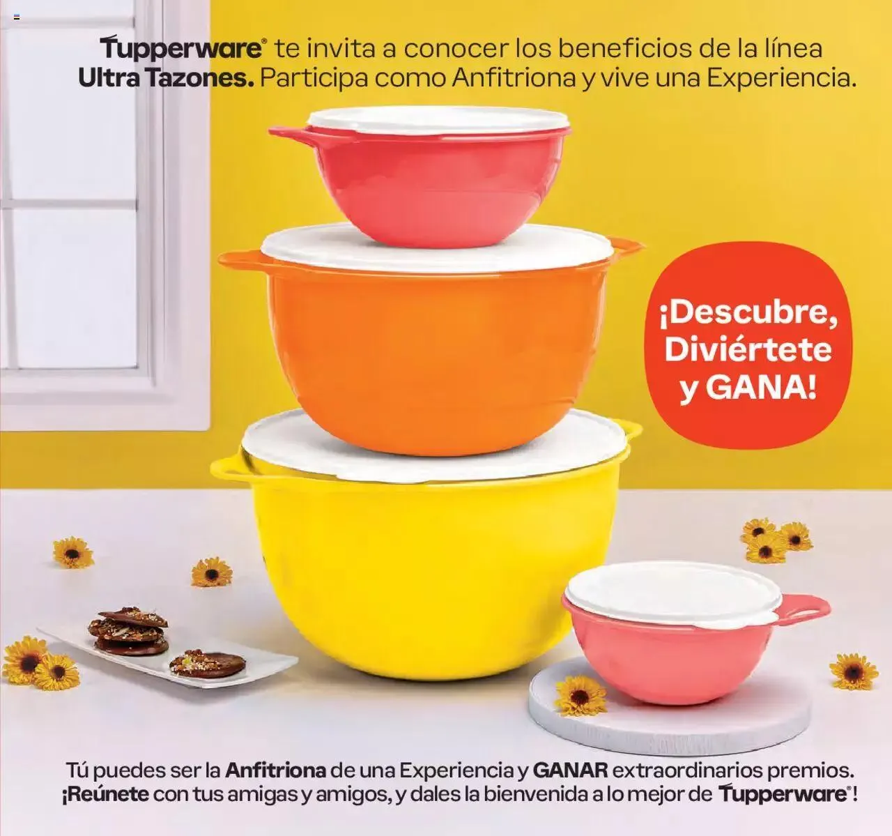 Catálogo de Tupperware catálogo 1 de enero al 21 de enero 2024 - Pagina 145