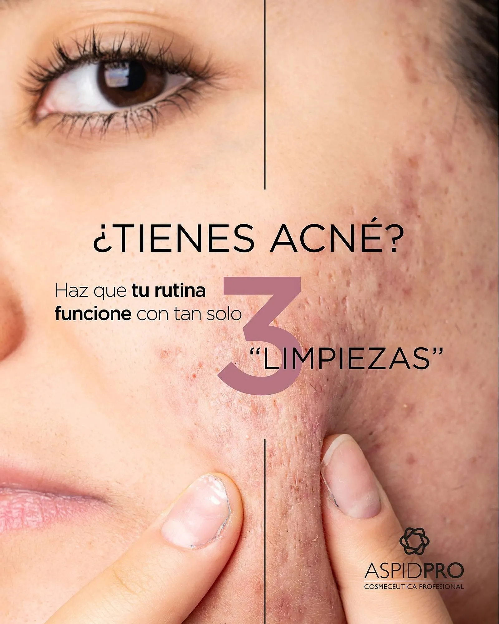 Catálogo de Catálogo AspidPro 14 de julio al 20 de julio 2025 - Pagina 1