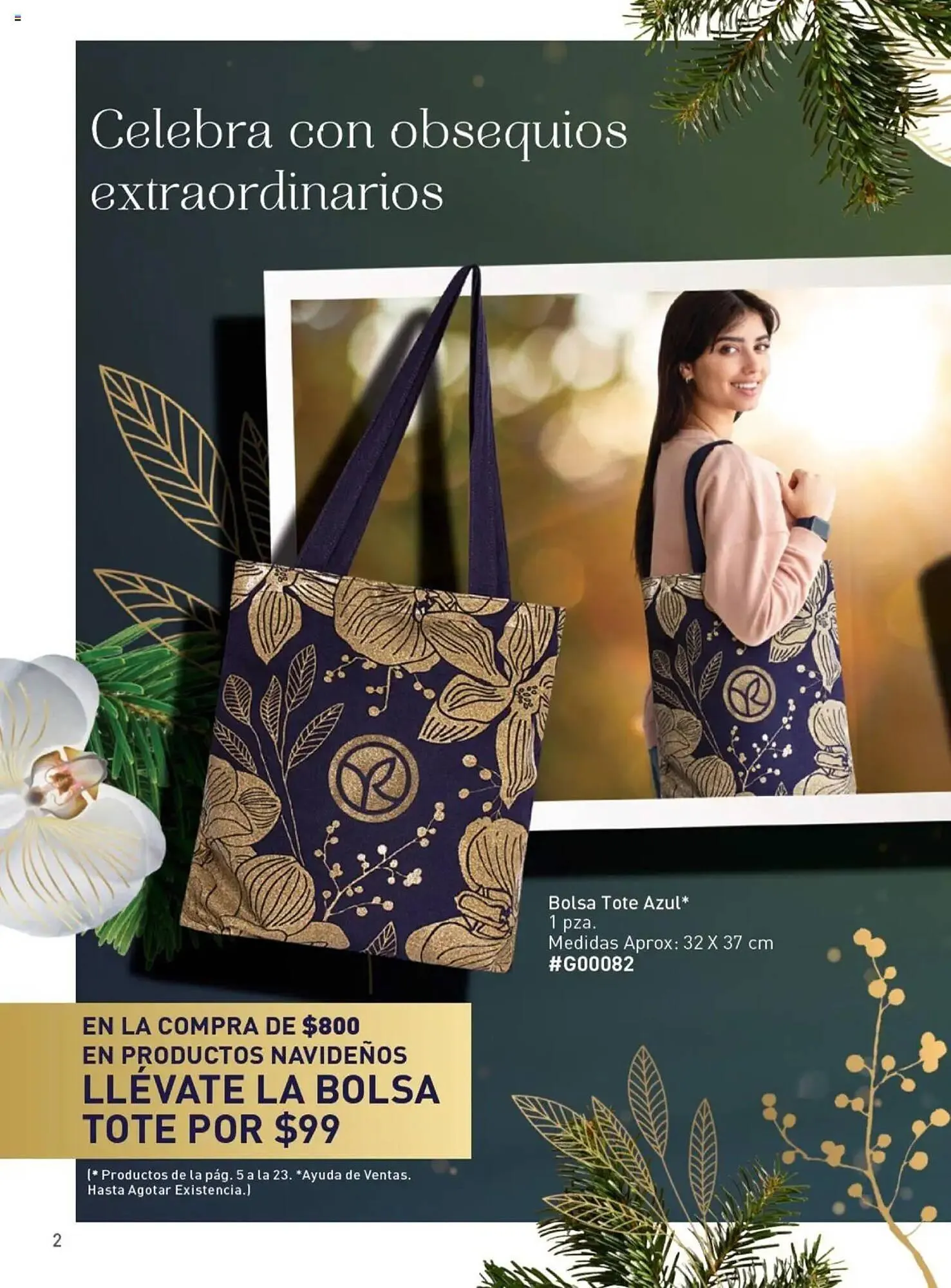 Catálogo de Catálogo Yves Rocher 10 de diciembre al 30 de diciembre 2024 - Pagina 4