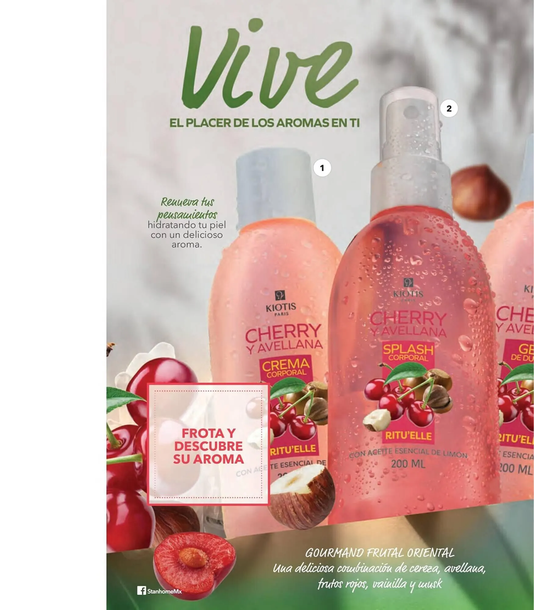 Catálogo de Catálogo Stanhome 27 de julio al 12 de agosto 2023 - Pagina 4