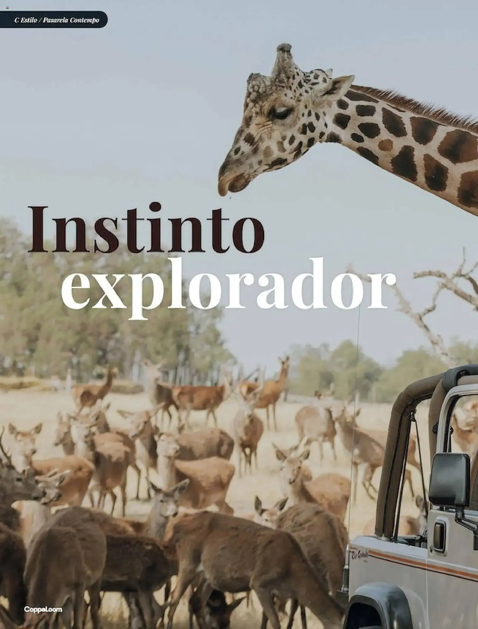 Catálogo de Catálogo Coppel 1 de marzo al 1 de abril 2026 - Pagina 34