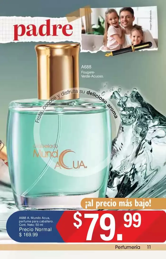 Catálogo de MX 12 de mayo al 29 de mayo 2025 - Pagina 11