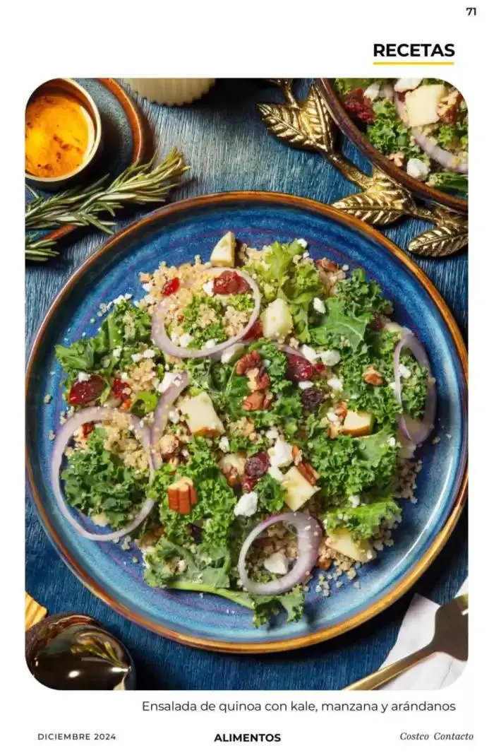 Catálogo de Costco Contacto 10 de diciembre al 31 de diciembre 2024 - Pagina 115