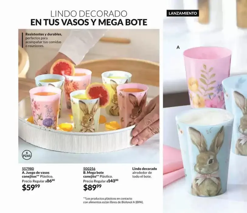 Catálogo de Avon Casa & Estilo C4 17 de enero al 31 de enero 2025 - Pagina 2