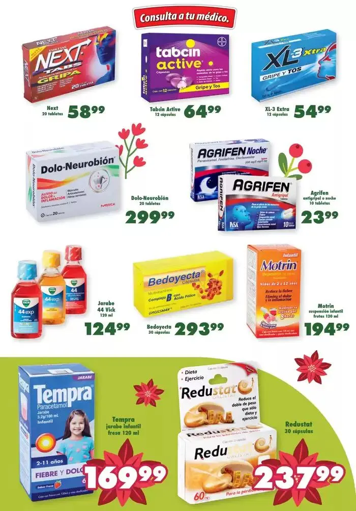 Catálogo de Vive la Navidad 6 de diciembre al 9 de diciembre 2024 - Pagina 5