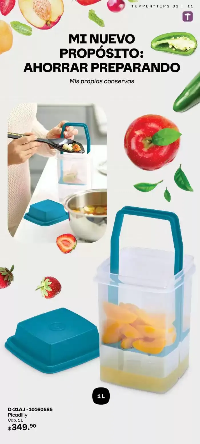Catálogo de Tupper Tips 01 6 de enero al 26 de enero 2025 - Pagina 11