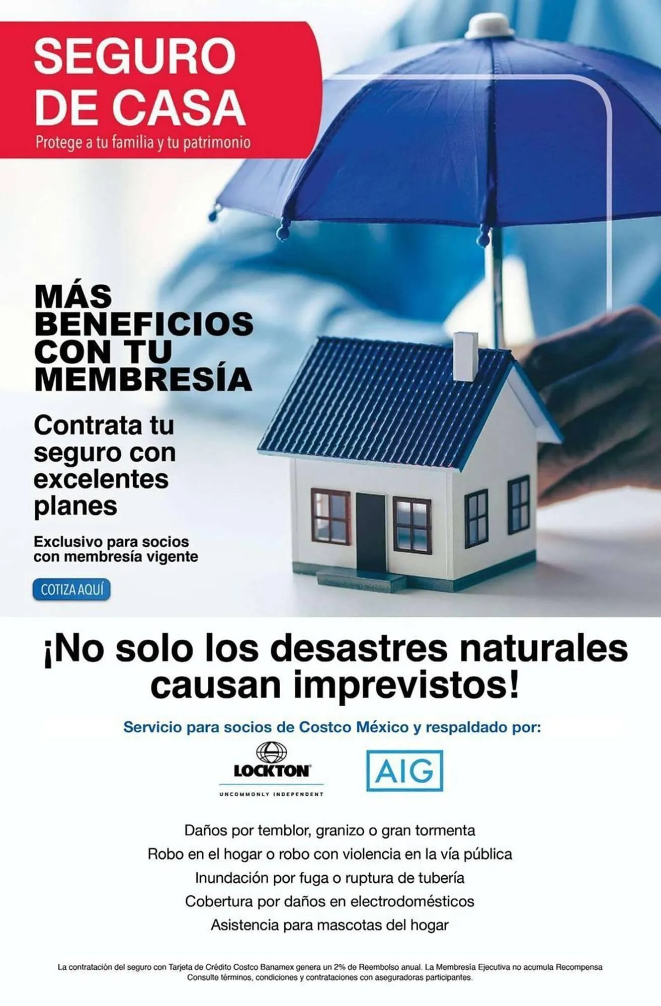 Catálogo de Catálogo Costco 1 de noviembre al 30 de noviembre 2025 - Pagina 37