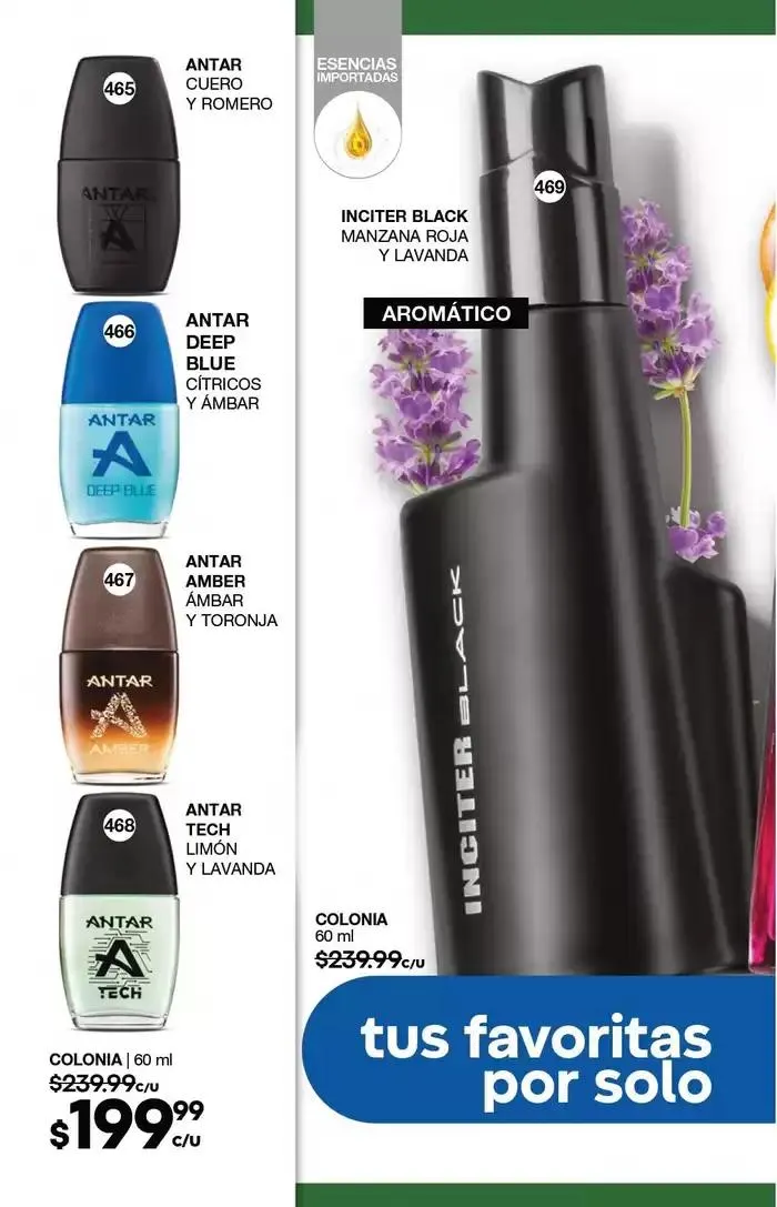 Catálogo de Fuller CAMPAÑA 24 7 de marzo al 25 de marzo 2025 - Pagina 150