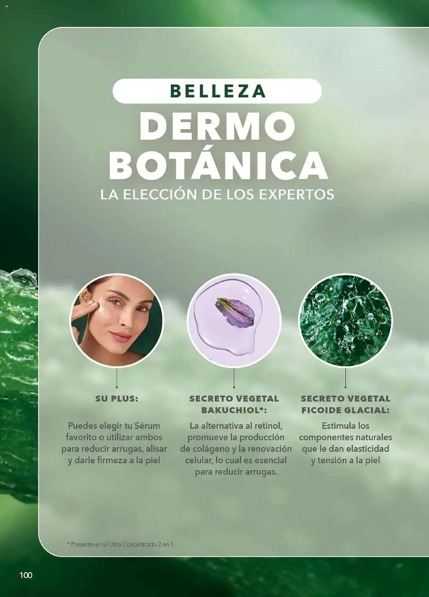 Catálogo de Catálogo Yves Rocher 9 de diciembre al 29 de diciembre 2025 - Pagina 102