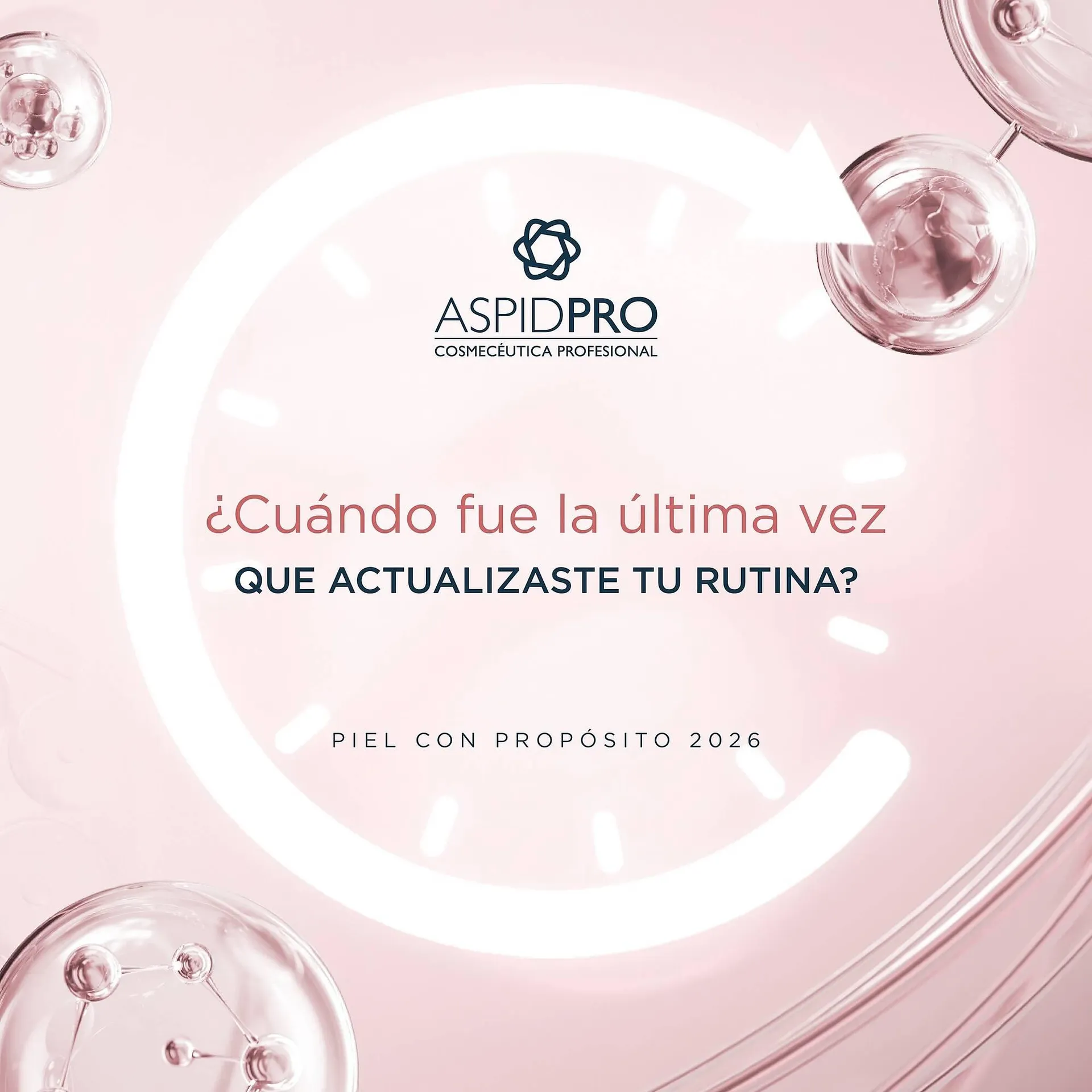 Catálogo de Catálogo AspidPro 12 de enero al 30 de enero 2026 - Pagina 3