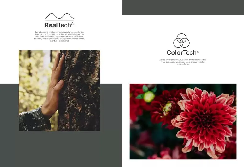 Catálogo de Colección de Pisos y Azulejos 14 de noviembre al 31 de marzo 2025 - Pagina 5