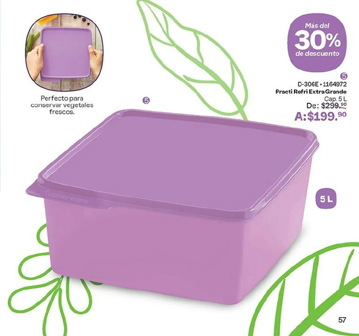 Catálogo de Tupperware 4 de septiembre al 16 de septiembre 2024 - Pagina 57