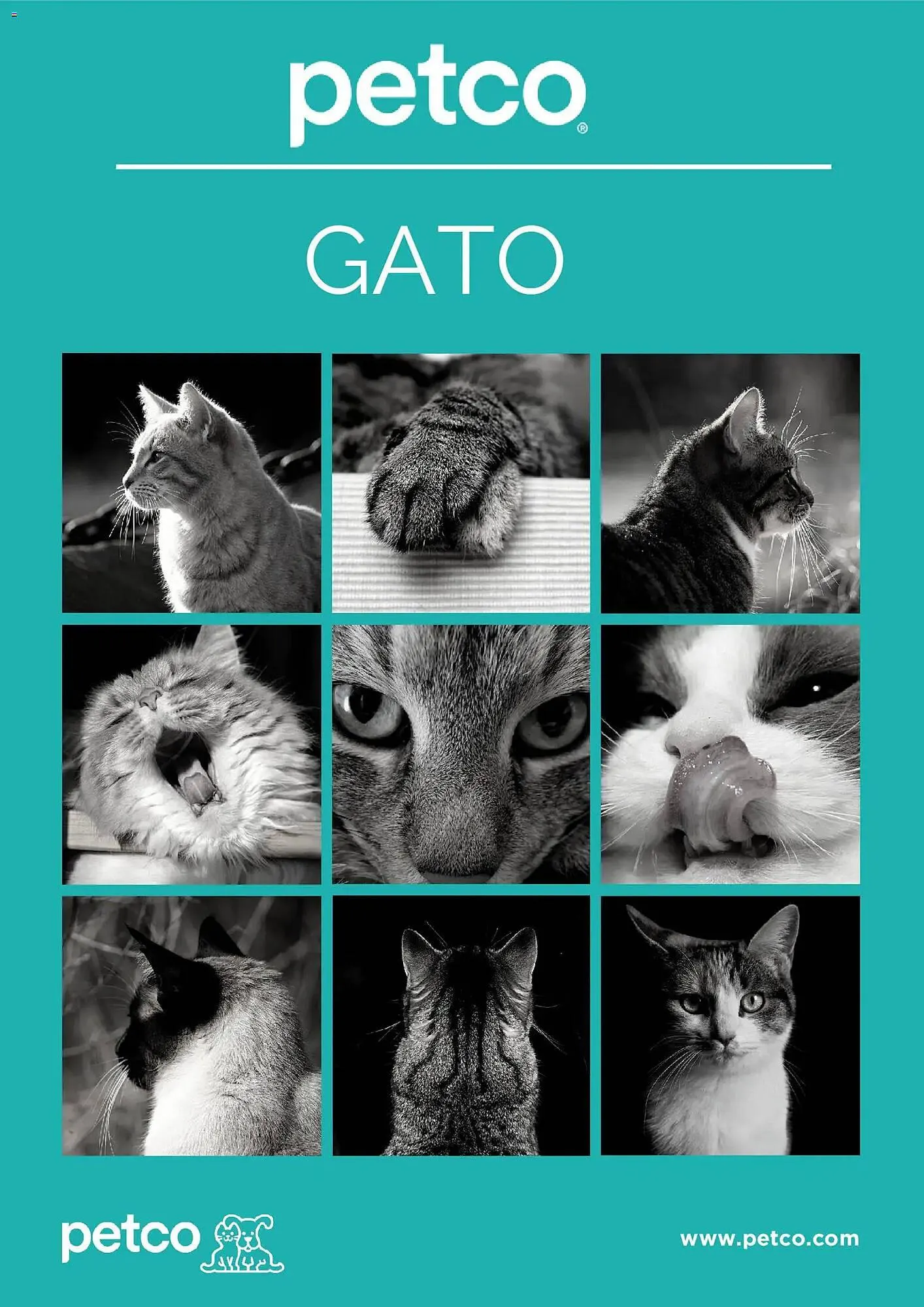 Catálogo Petco - 1