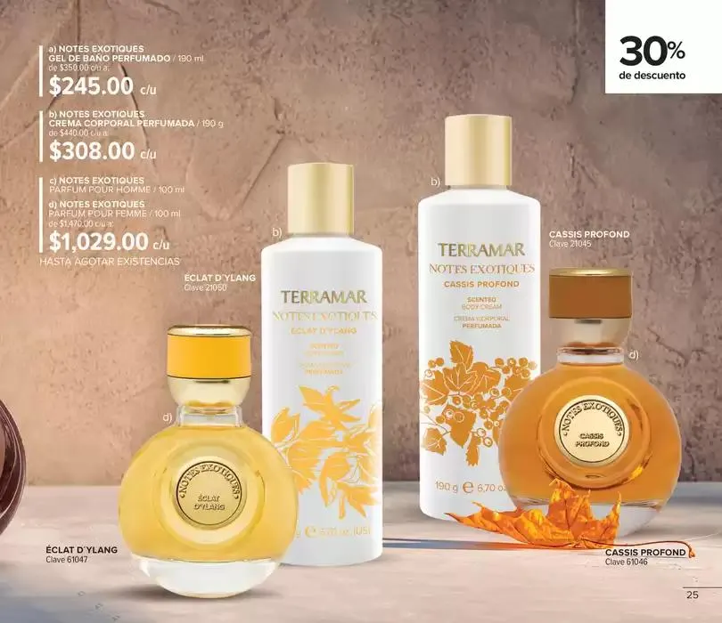 Catálogo de Folleto de mes 3 de octubre al 31 de octubre 2024 - Pagina 25