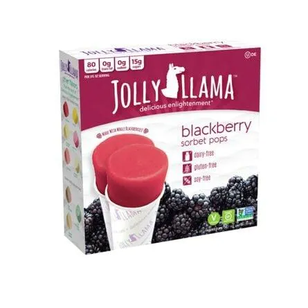 Helado Kosher Sorbete Pop Zarzamora 303 g