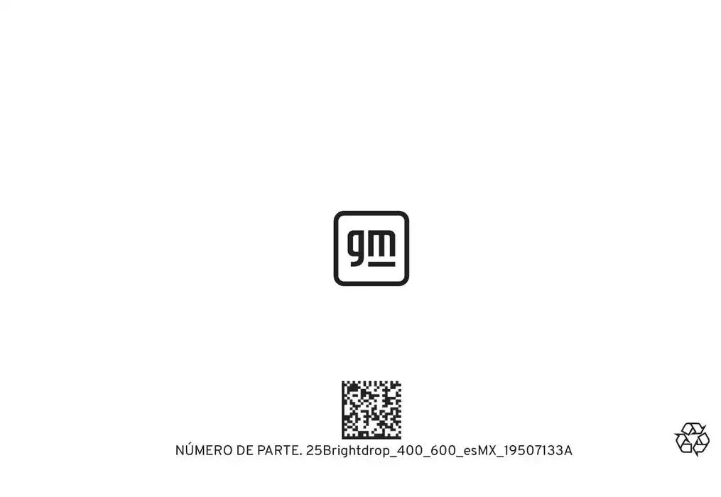 Catálogo de BrightDrop 400 Y BrightDrop 600 Manual del propietario 22 de enero al 31 de diciembre 2025 - Pagina 316