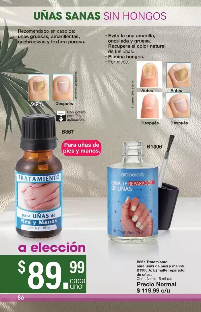 Catálogo de Arabela Campaña 11 2 de mayo al 15 de mayo 2025 - Pagina 86