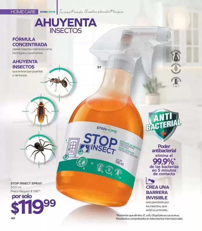 Catálogo de Stanhome - C15 23 de septiembre al 11 de octubre 2024 - Pagina 44