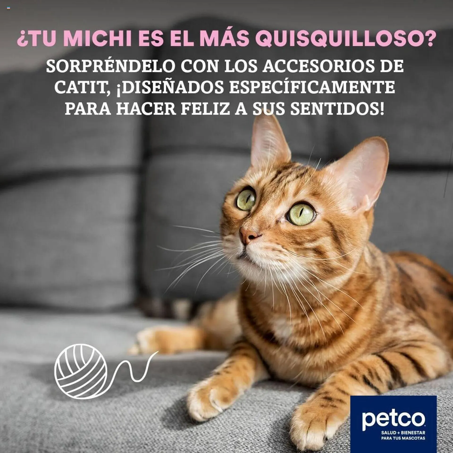 Catálogo de Catálogo Petco 13 de agosto al 18 de agosto 2024 - Pagina 1