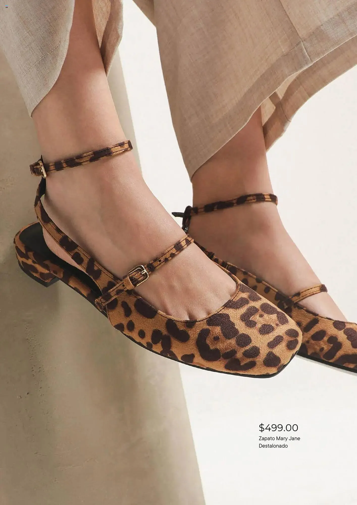 Catálogo de Catálogo C&A 1 de agosto al 1 de septiembre 2025 - Pagina 7