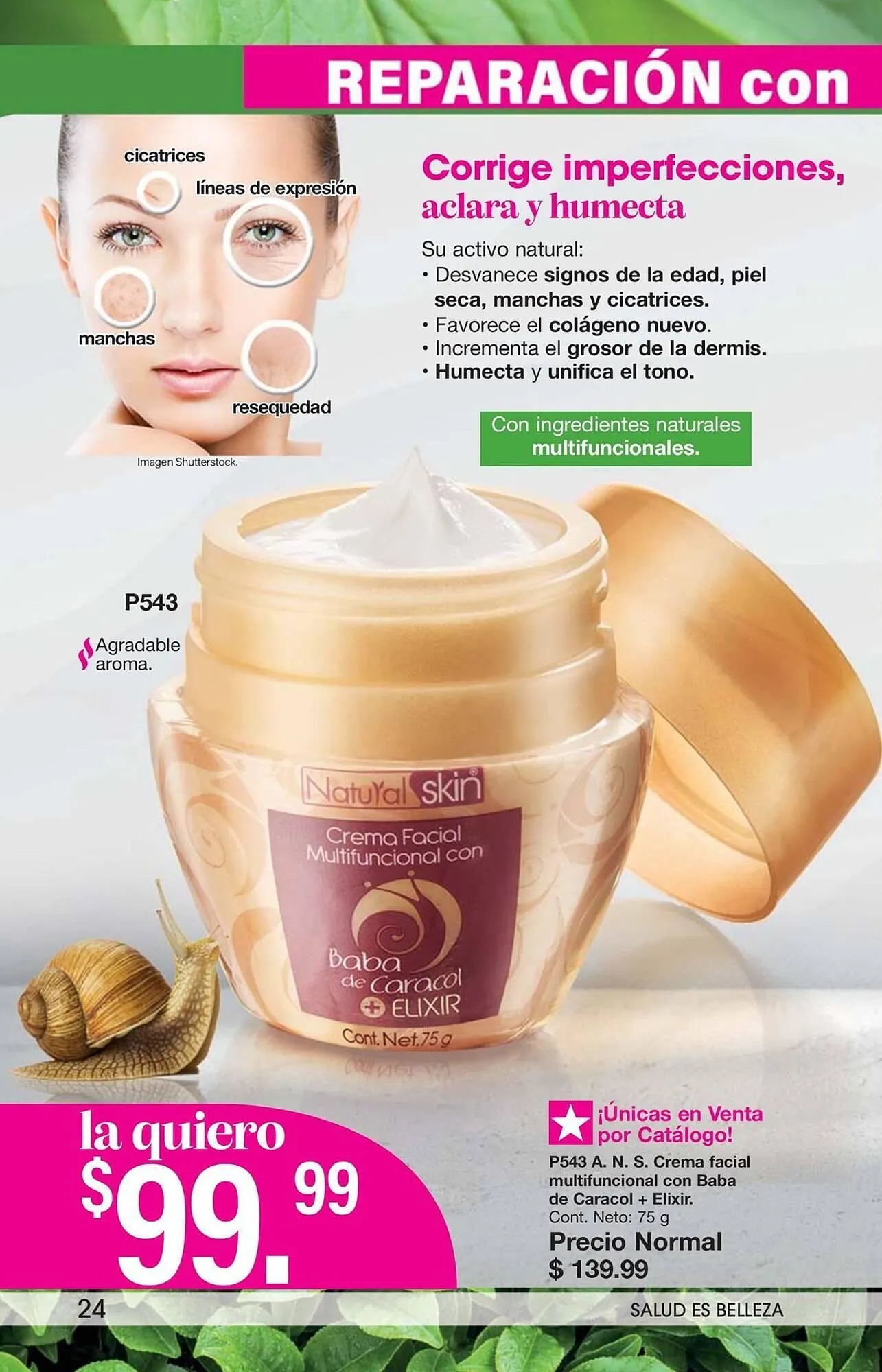 Catálogo de Catálogo Arabela 14 de agosto al 4 de septiembre 2025 - Pagina 24