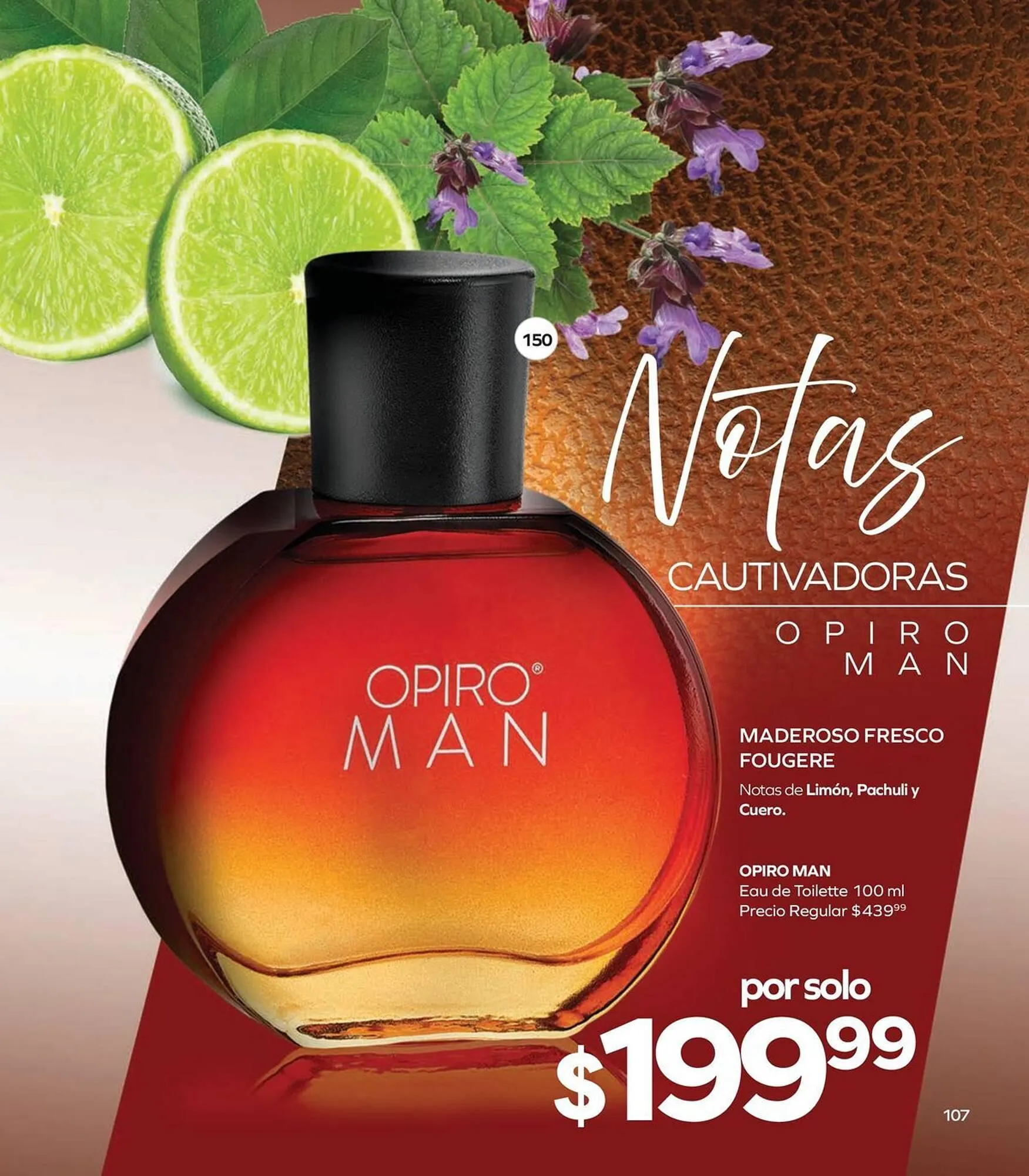 Catálogo de Catálogo Stanhome 4 de mayo al 22 de mayo 2026 - Pagina 111