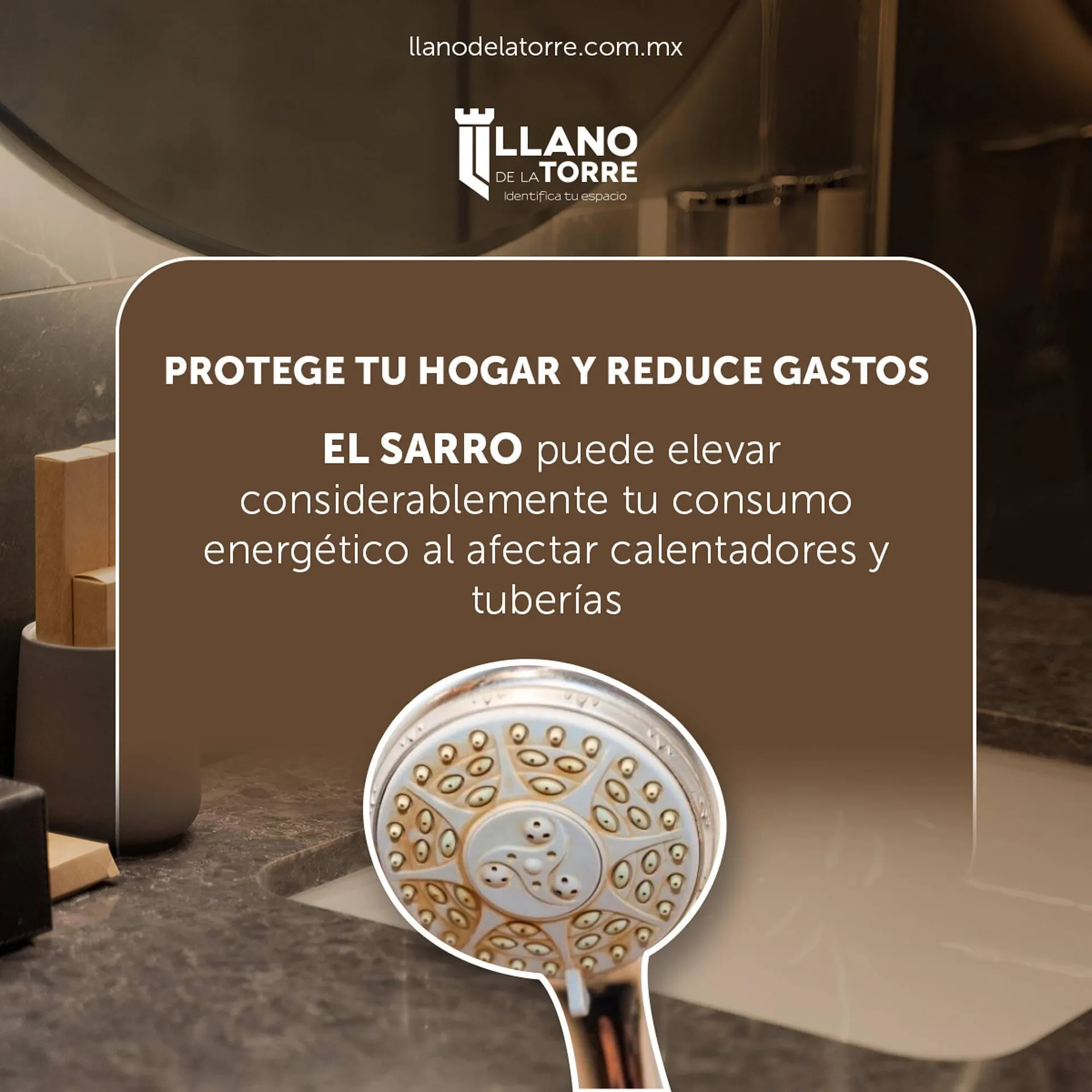 Catálogo de Catálogo Llano de la Torre 19 de junio al 19 de junio 2025 - Pagina 1