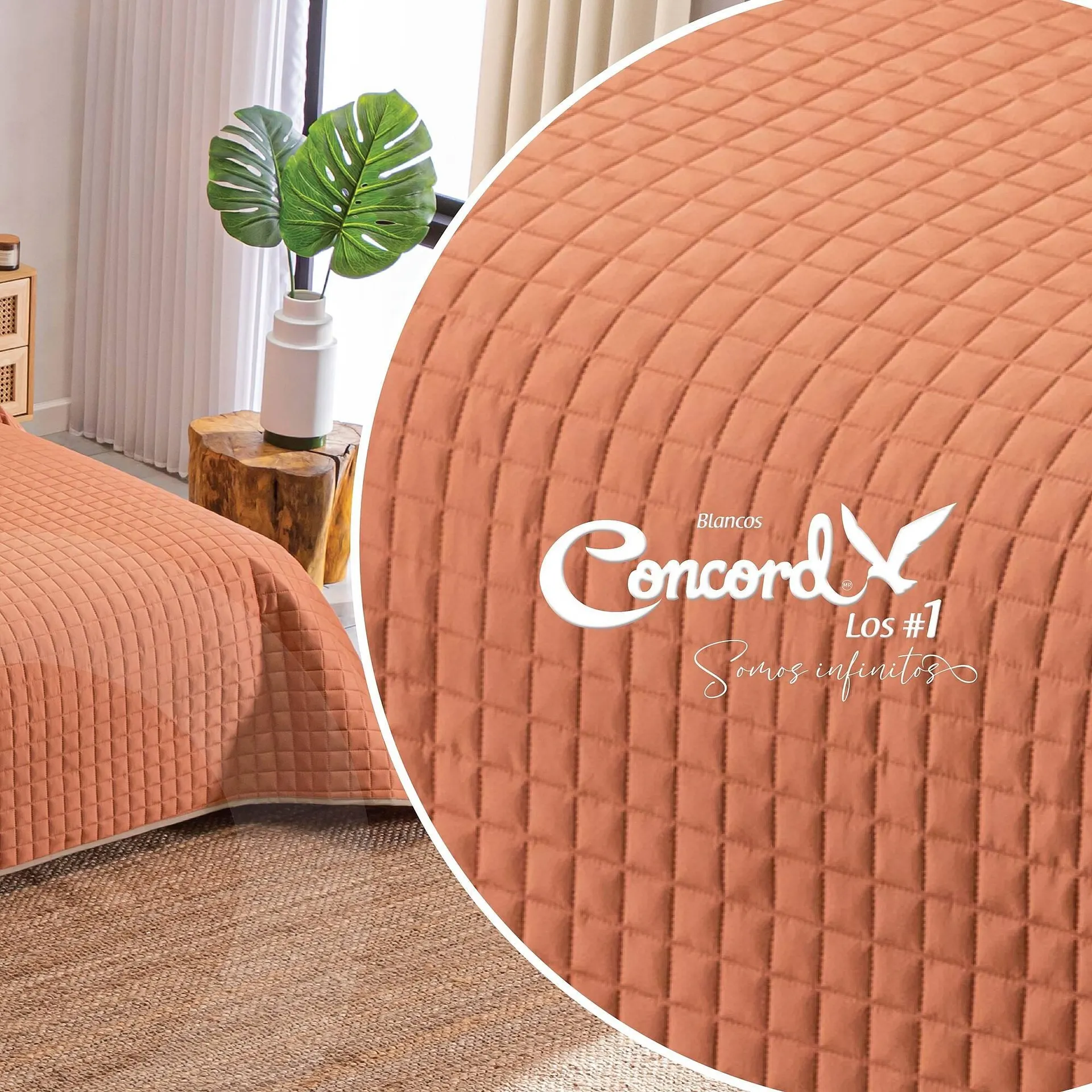 Catálogo de Catálogo Colchas Concord 2 de octubre al 15 de octubre 2025 - Pagina 4