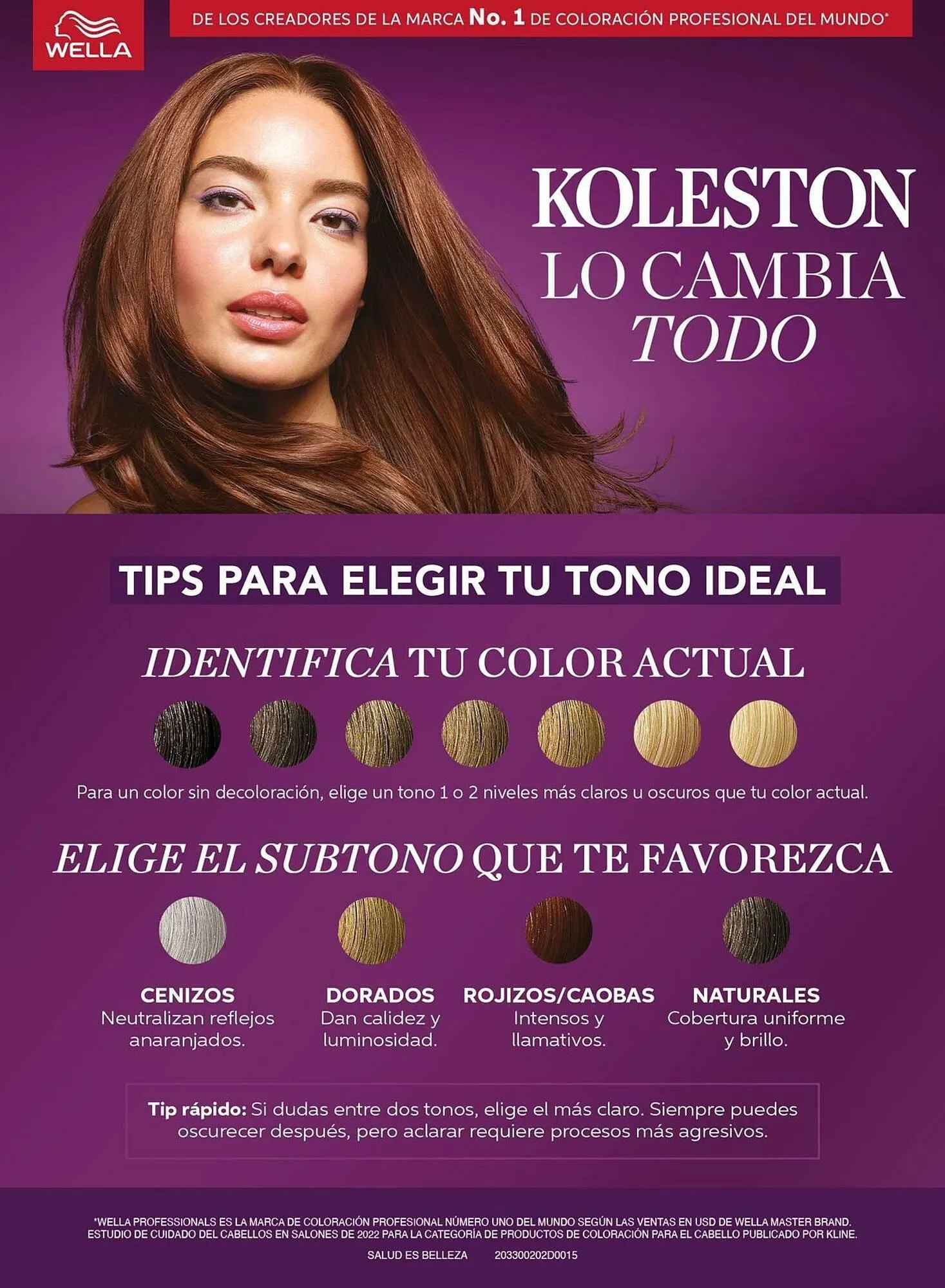 Catálogo de Folleto Chedraui 5 de noviembre al 31 de diciembre 2025 - Pagina 31