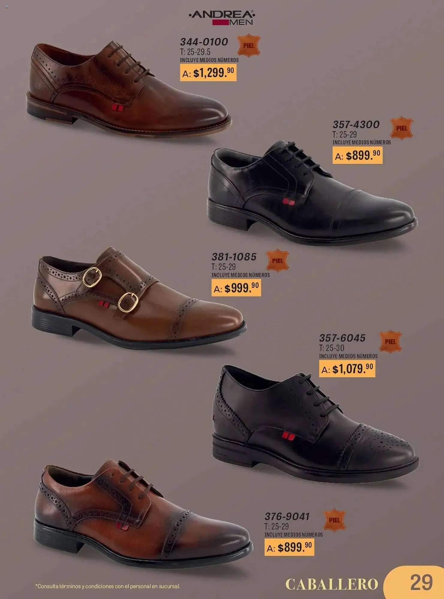 Catálogo de Catálogo Andrea 11 de enero al 28 de junio 2026 - Pagina 29