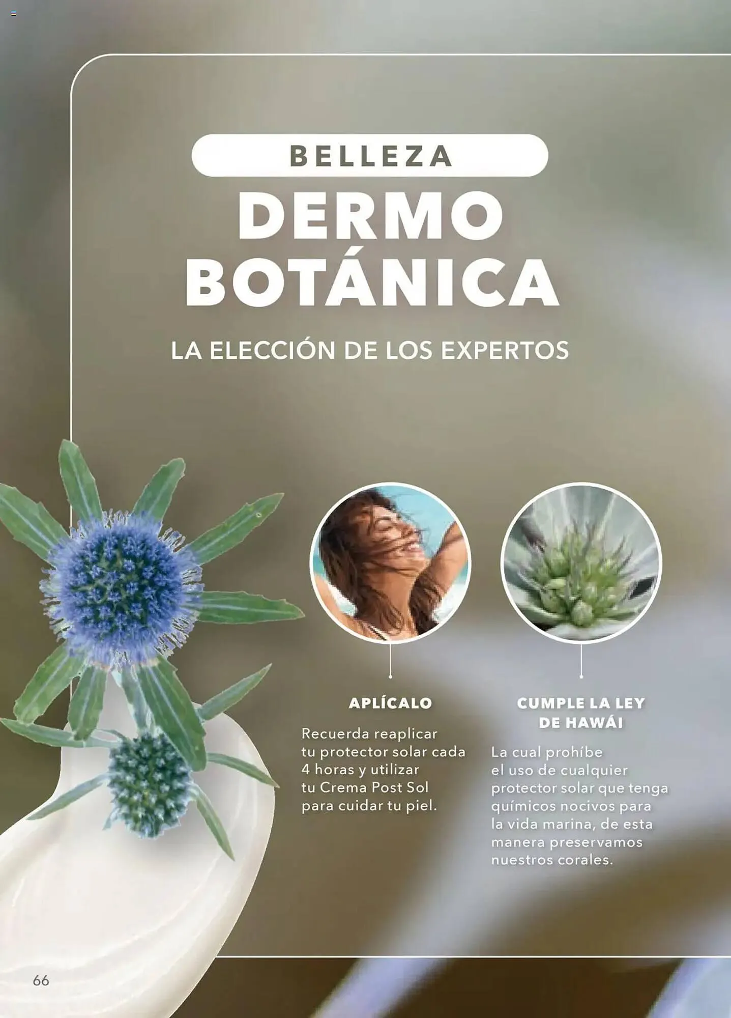 Catálogo de Catálogo Yves Rocher 15 de julio al 5 de agosto 2025 - Pagina 68