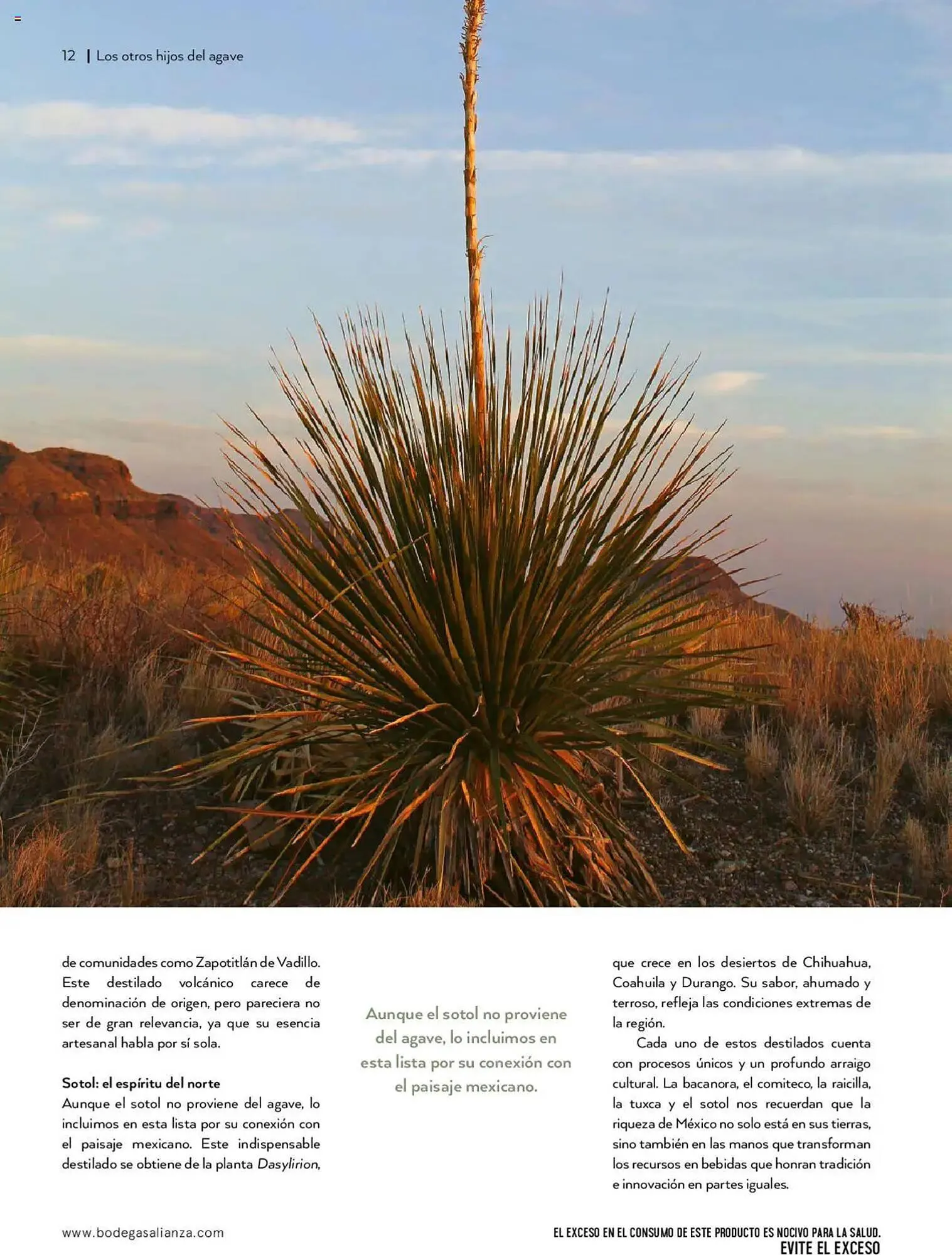 Catálogo de Catálogo Bodegas Alianza 14 de enero al 30 de marzo 2025 - Pagina 14