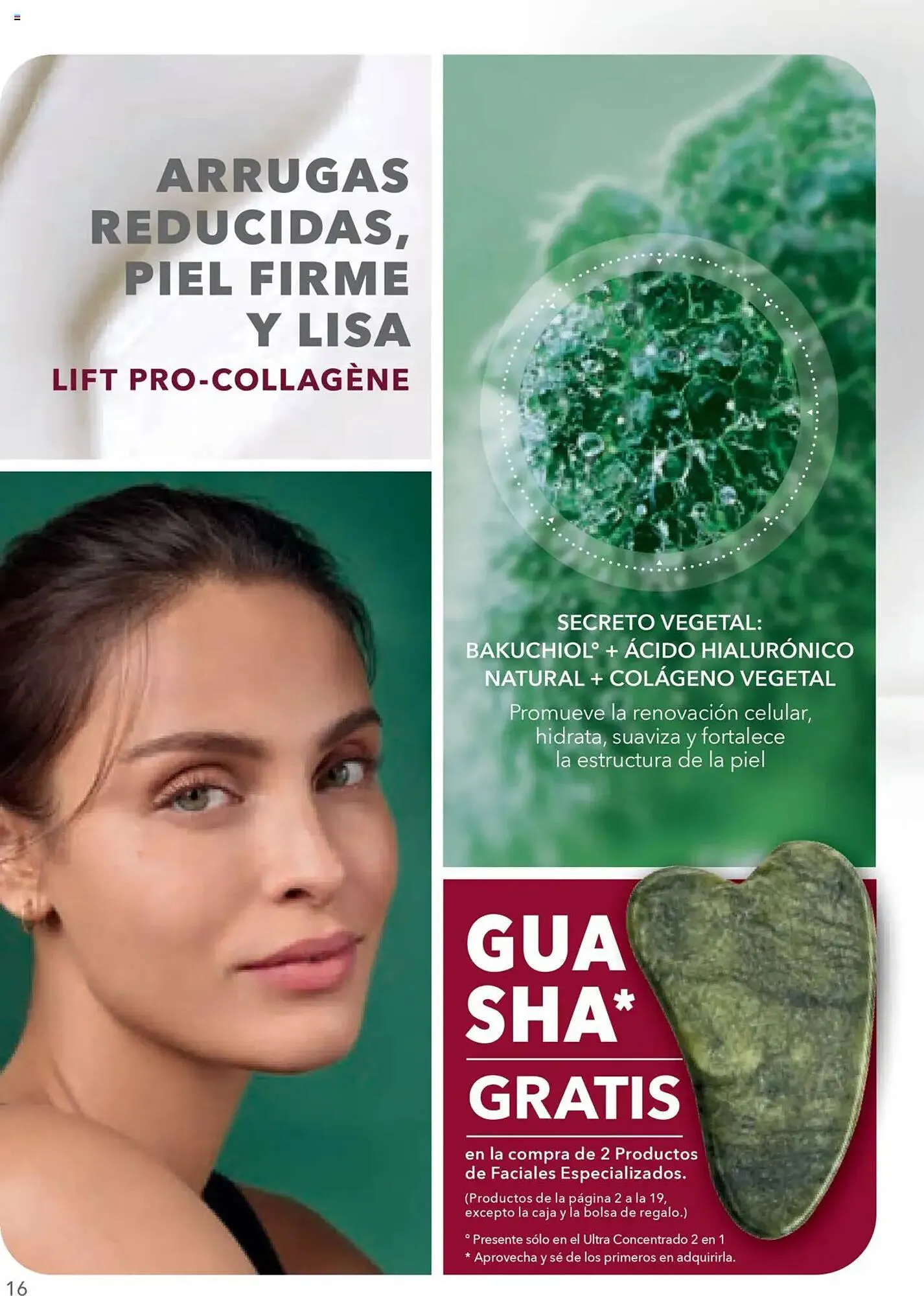 Catálogo de Catálogo Yves Rocher 18 de septiembre al 7 de octubre 2025 - Pagina 16