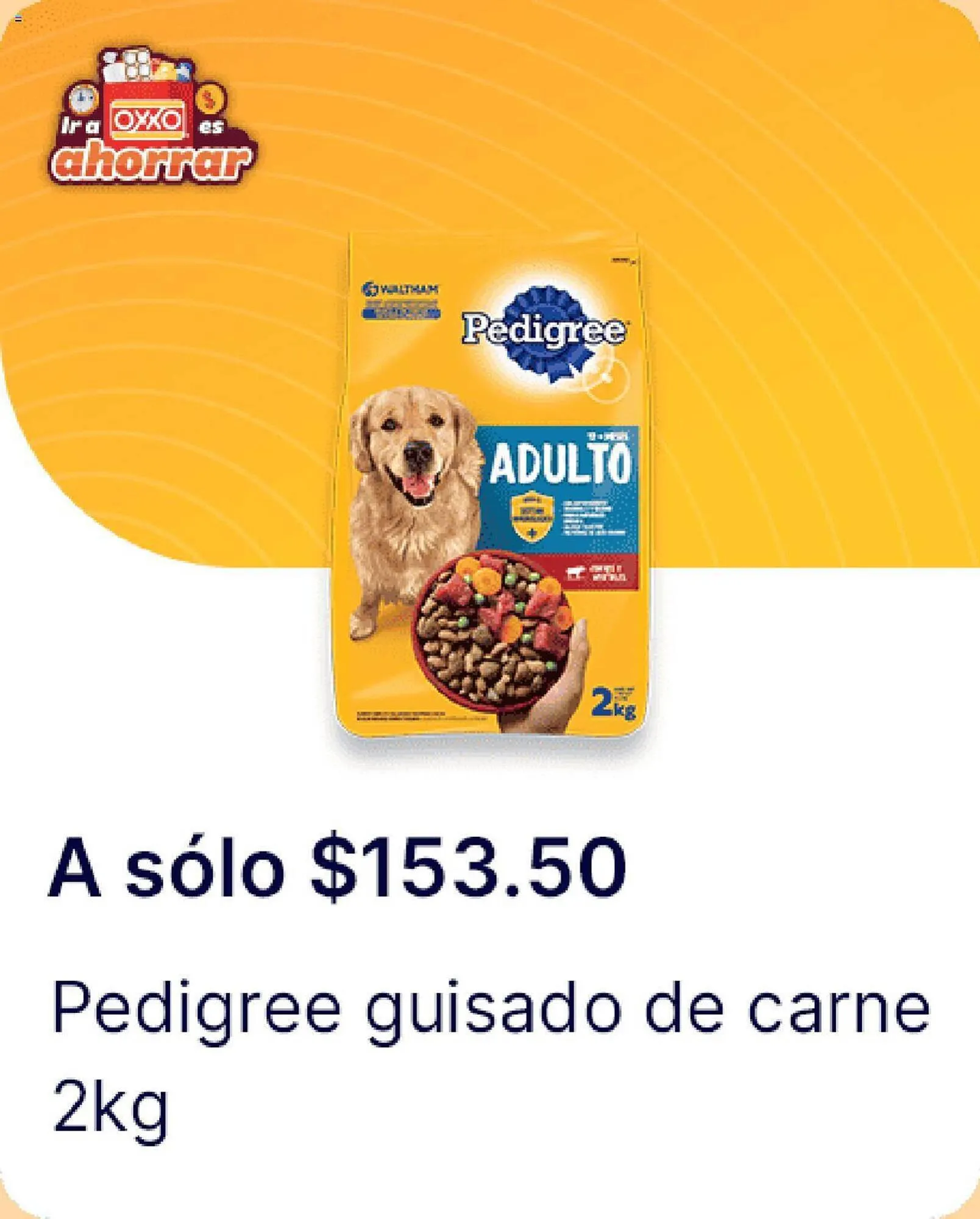 Catálogo de Catálogo OXXO 4 de enero al 24 de enero 2024 - Pagina 158