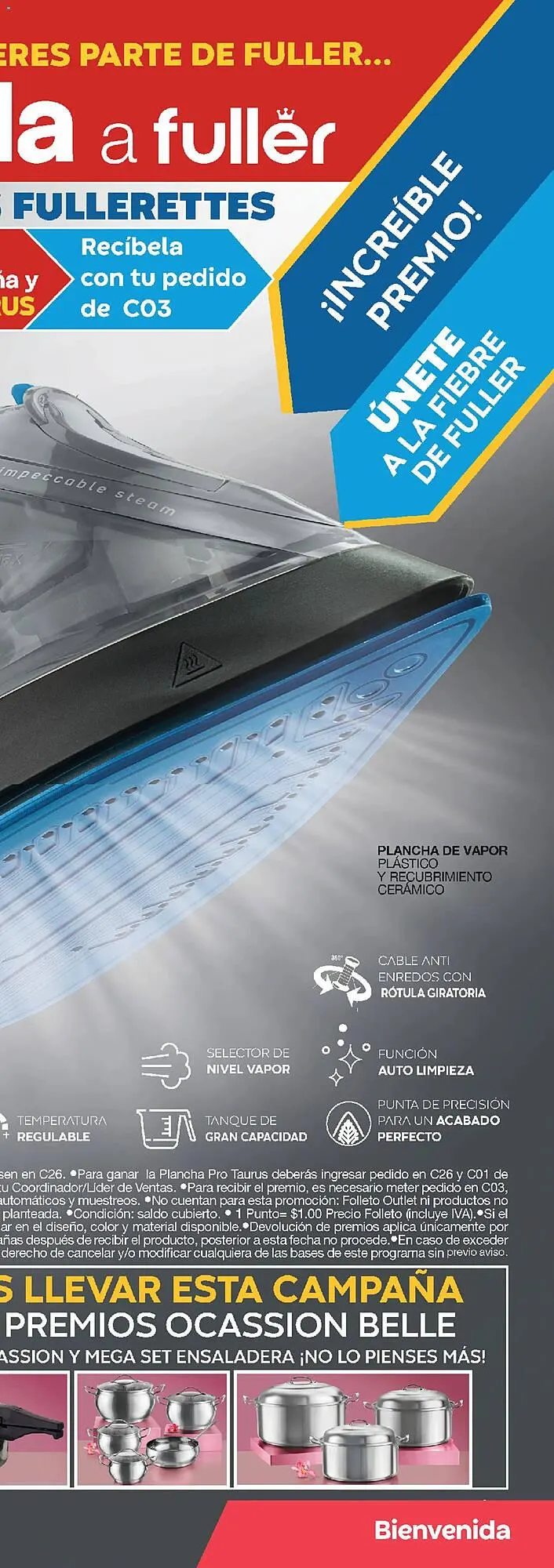 Catálogo de Catálogo Fuller 1 de abril al 22 de abril 2026 - Pagina 35