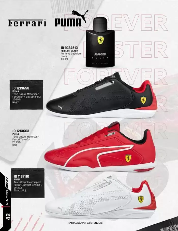 Catálogo de IMPORTADOS WINTER 11 de noviembre al 31 de enero 2025 - Pagina 42