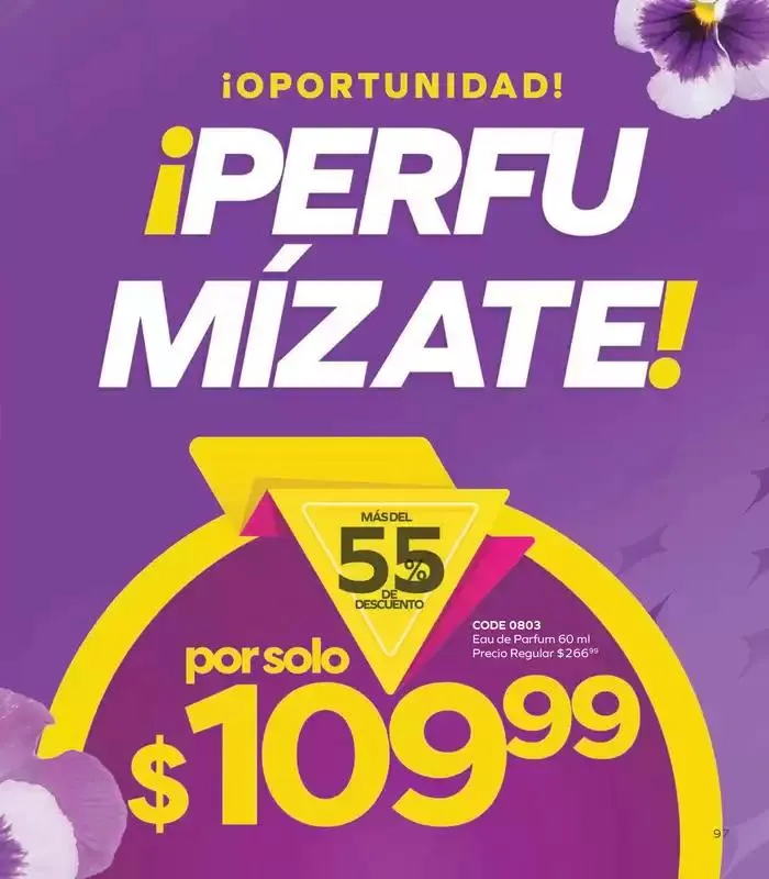 Catálogo de Stanhome - C18 26 de noviembre al 12 de diciembre 2024 - Pagina 101