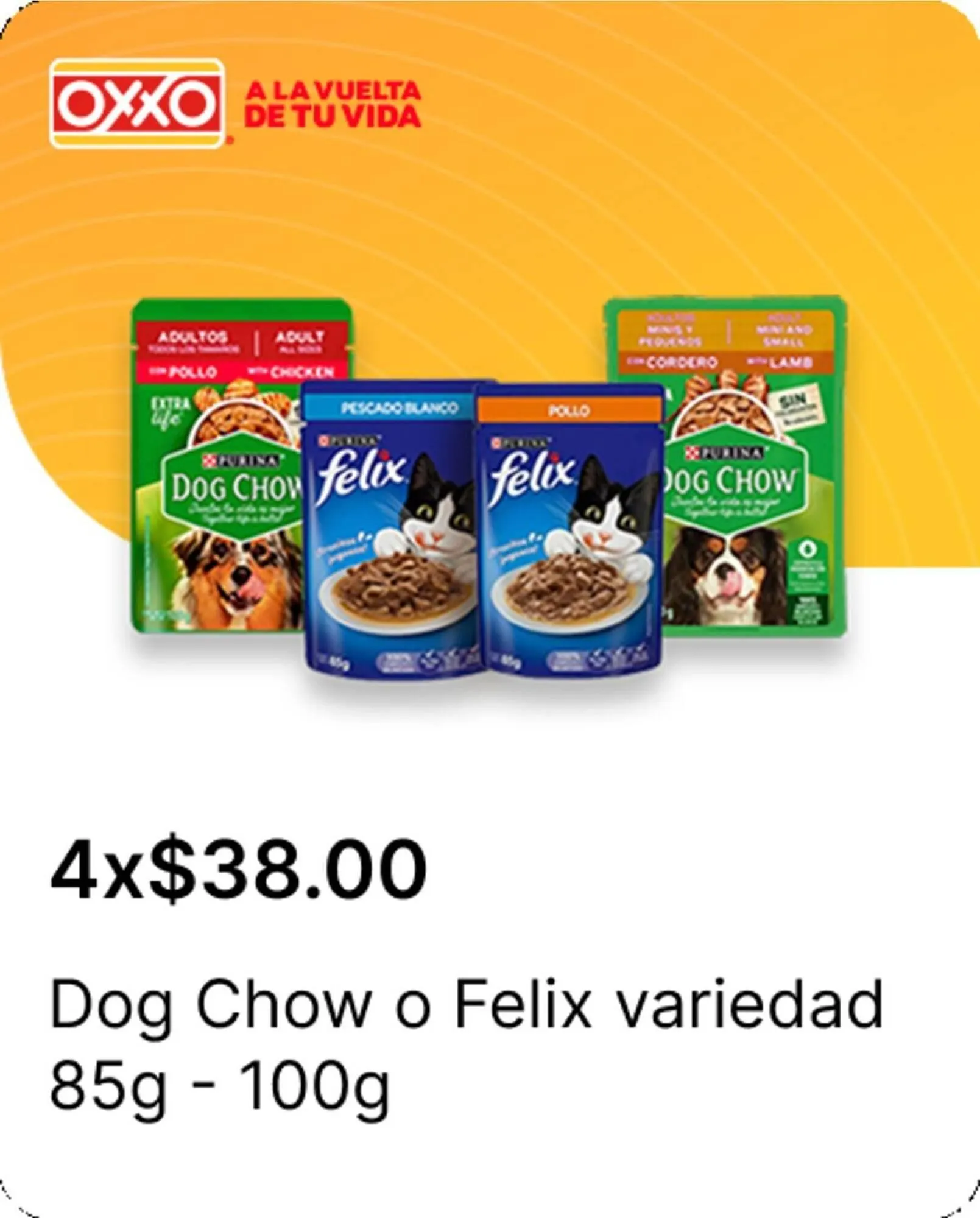 Catálogo de Catálogo OXXO 9 de diciembre al 31 de diciembre 2025 - Pagina 19