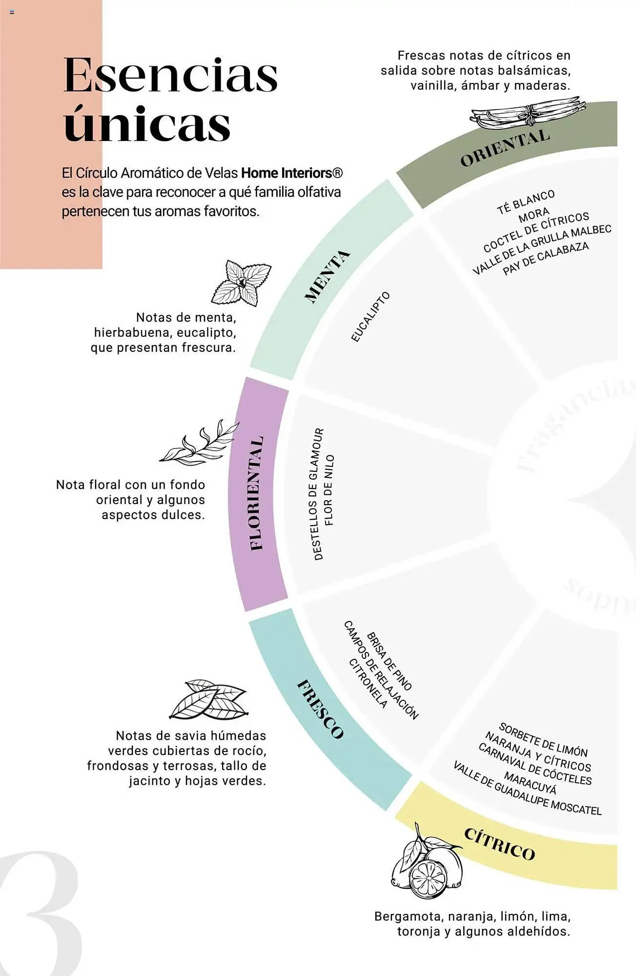 Catálogo de Catálogo Home Interiors 1 de julio al 1 de agosto 2025 - Pagina 4