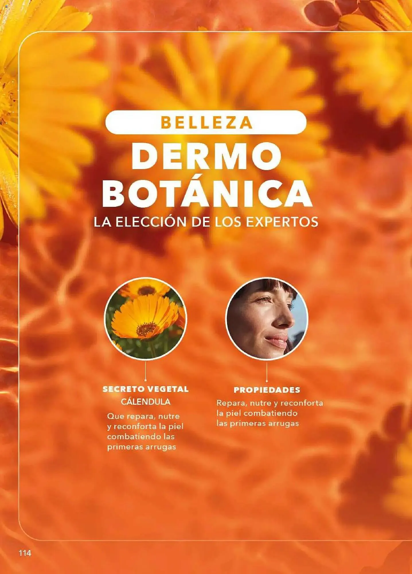 Catálogo de Catálogo Yves Rocher 9 de diciembre al 29 de diciembre 2025 - Pagina 116