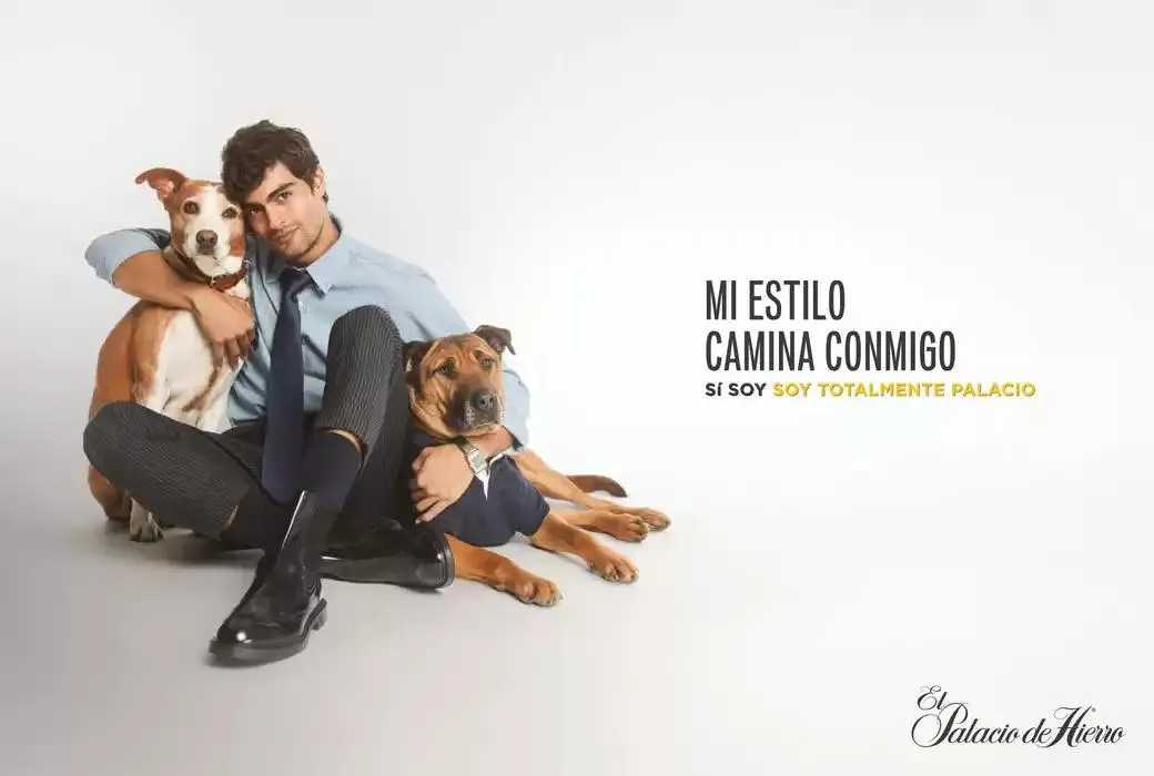 Catálogo de Ahorra ahora con nuestras ofertas 1 de abril al 31 de diciembre 2025 - Pagina 8