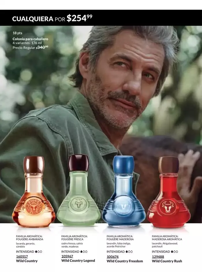 Catálogo de Avon COSMÉTICOS C7 17 de marzo al 7 de julio 2025 - Pagina 97