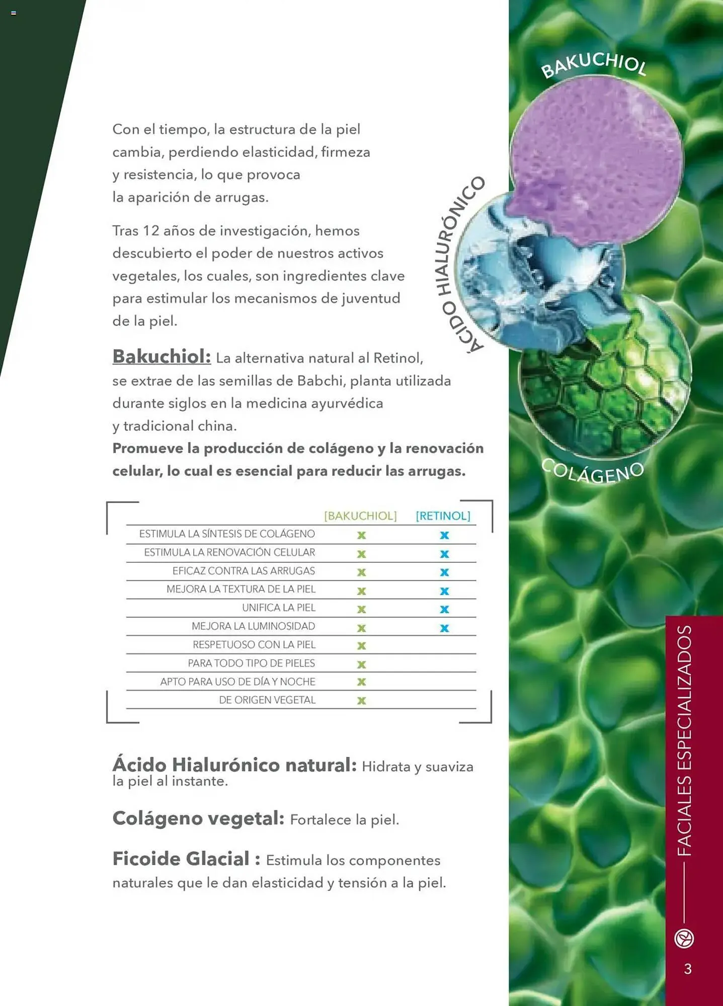 Catálogo de Catálogo Yves Rocher 13 de mayo al 3 de junio 2025 - Pagina 3